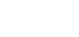 BASEF-Logo-2013-white-medium.png